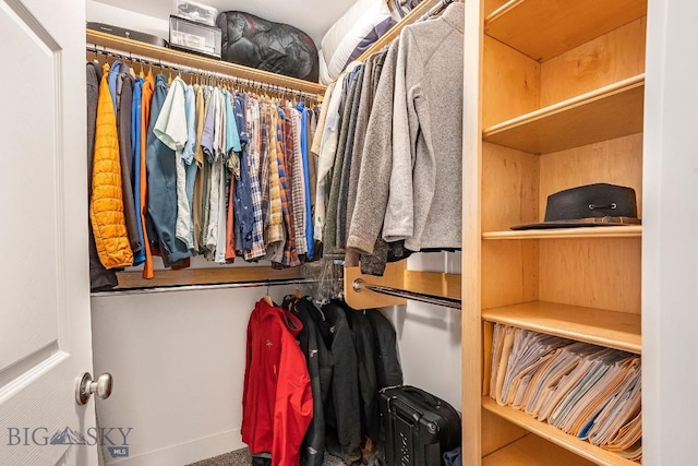 708 Pierre St, Belgrade, MT 59714 - view of walk in closet