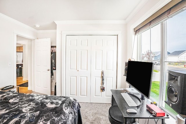 708 Pierre St, Belgrade, MT 59714 - bedroom featuring crown molding, a closet, and an office area
