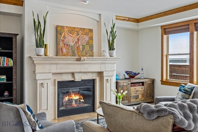 3609 Fieldstone W, Bozeman, MT 59715 - living area featuring a glass covered fireplace