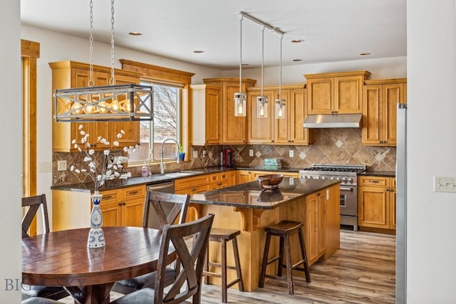 3609 Fieldstone W, Bozeman, MT 59715 - kitchen featuring stainless steel appliances, under cabinet range hood, a center island, light wood-style floors, and decorative backsplash