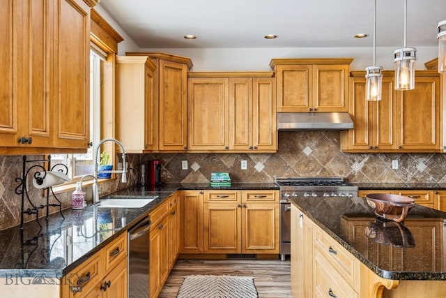3609 Fieldstone W, Bozeman, MT 59715 - kitchen featuring under cabinet range hood, stainless steel appliances, wood finished floors, pendant lighting, and dark stone counters