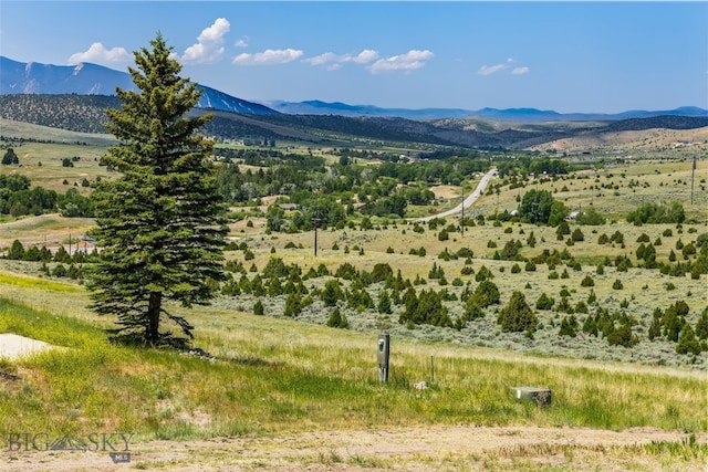 209 W Madison St, Virginia City, MT 59755 - view of mountain background