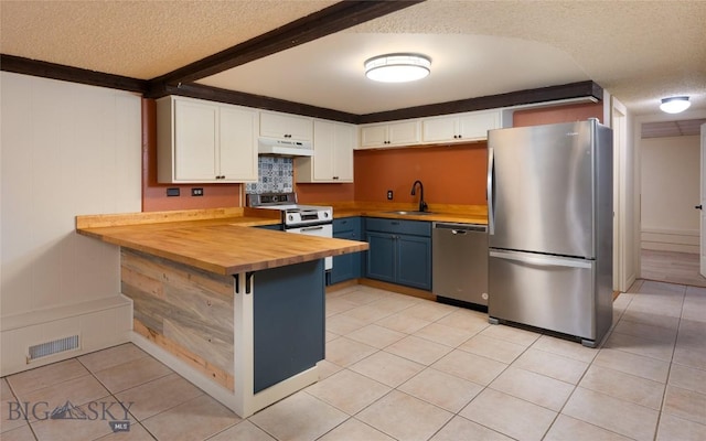 815 N Grand, Bozeman, MT 59715 - kitchen with stainless steel appliances, under cabinet range hood, a textured ceiling, blue cabinets, and butcher block countertops
