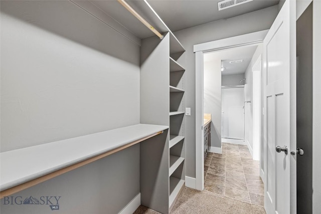 152 Goldcrest Ln, Bozeman, MT 59715 - view of spacious closet