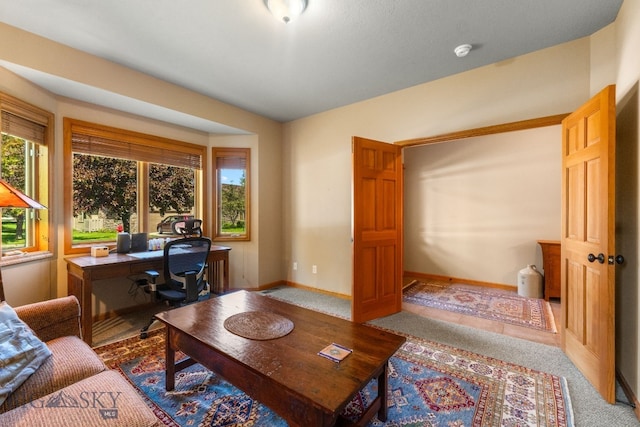 3300 E Graf Unit 26, Bozeman, MT 59715 - carpeted office space with baseboards