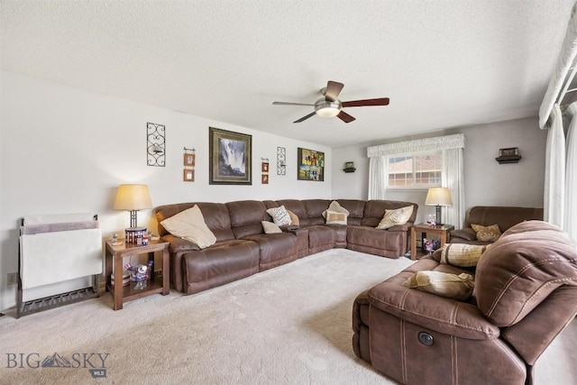 3011 Kossuth, Butte, MT 59701 - carpeted living room featuring ceiling fan and a textured ceiling