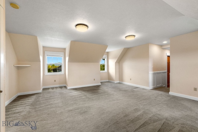 34 W Katina Ct, Bozeman, MT 59718 - additional living space with carpet and baseboards