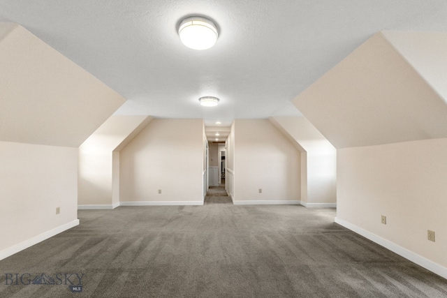 34 W Katina Ct, Bozeman, MT 59718 - additional living space featuring carpet flooring and vaulted ceiling