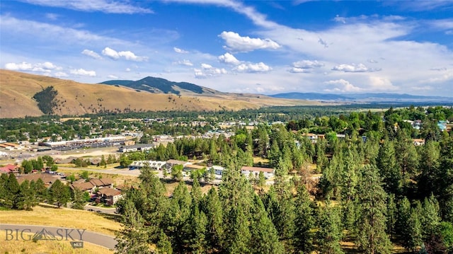 6605 Bristle Cone Ct, Lolo, MT 59847 - photo 36