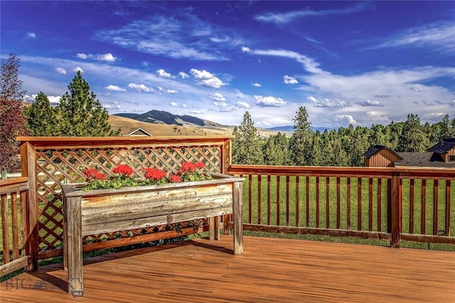 6605 Bristle Cone Ct, Lolo, MT 59847 - photo 29