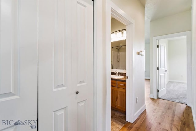 6605 Bristle Cone Ct, Lolo, MT 59847 - photo 19