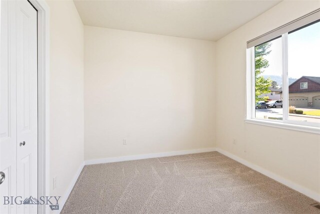 6605 Bristle Cone Ct, Lolo, MT 59847 - photo 22