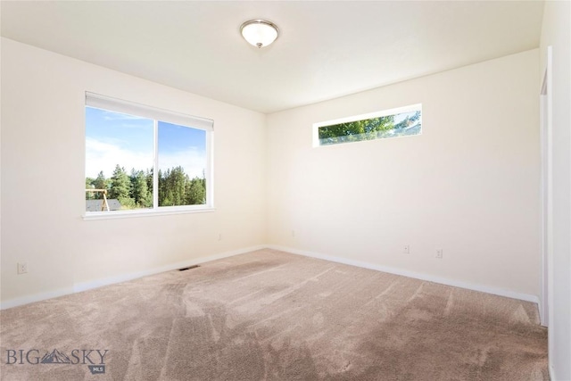 6605 Bristle Cone Ct, Lolo, MT 59847 - photo 15