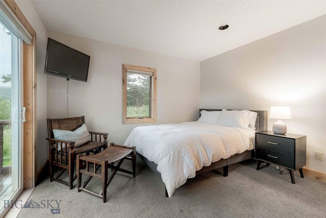 8 Ringneck Dr, Big Sky, MT 59716 - bedroom with light carpet