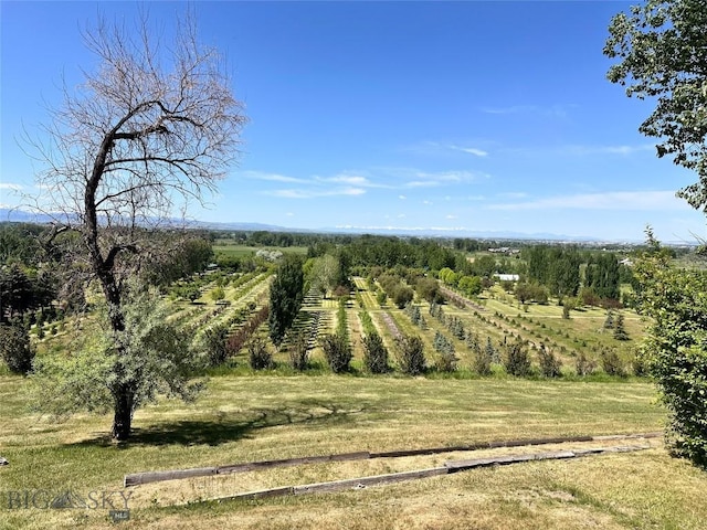 5014 Justin Ln, Bozeman, MT 59715 - photo 25
