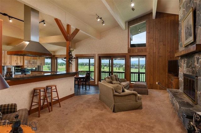 1520 Black Bull Trl, Bozeman, MT 59718 - living room with track lighting, a fireplace, beam ceiling, wood walls, and healthy amount of natural light