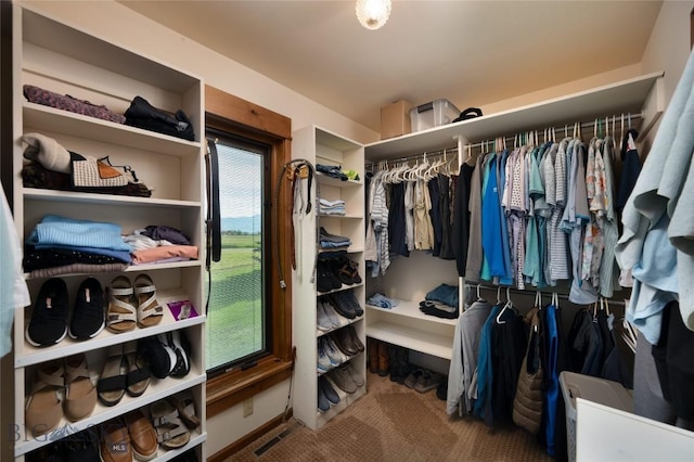 1520 Black Bull Trl, Bozeman, MT 59718 - view of walk in closet