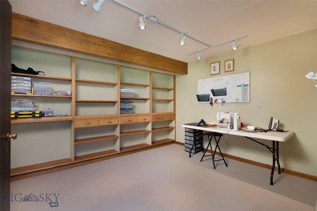 1520 Black Bull Trl, Bozeman, MT 59718 - office space featuring rail lighting and carpet