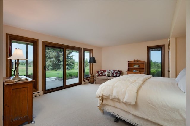 1520 Black Bull Trl, Bozeman, MT 59718 - bedroom with access to outside, baseboard heating, and carpet flooring