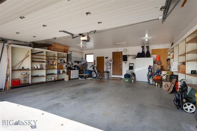 1520 Black Bull Trl, Bozeman, MT 59718 - garage with a garage door opener and a workshop area