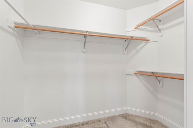 2757 Marlyn Ct Unit 1, Bozeman, MT 59718 - walk in closet featuring carpet floors