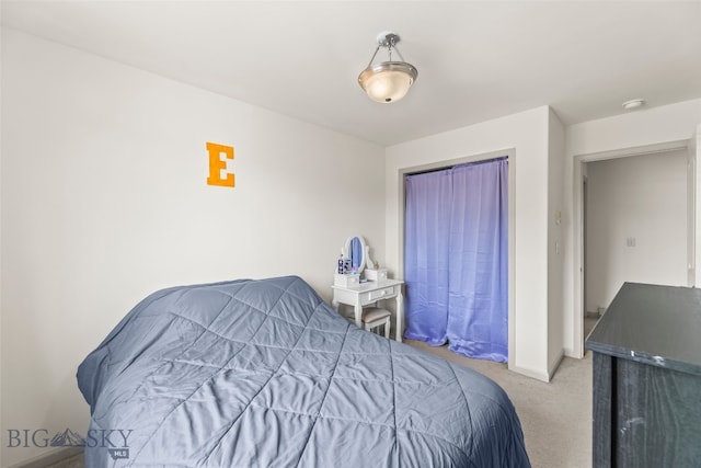 1110 Biehl Unit C, Belgrade, MT 59714 - bedroom featuring light carpet and a closet