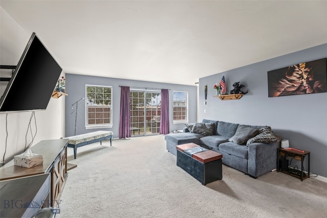 1110 Biehl Unit C, Belgrade, MT 59714 - view of carpeted living area