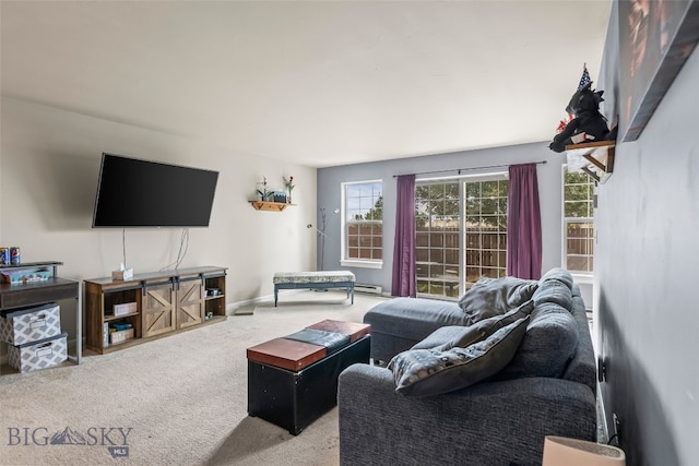 1110 Biehl Unit C, Belgrade, MT 59714 - living room with carpet floors