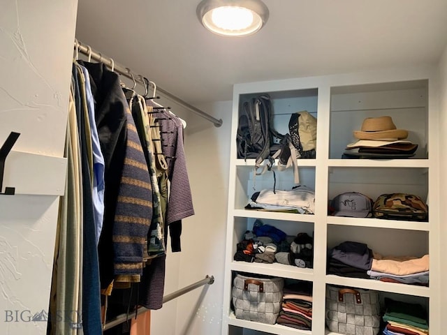 801 Pleiades Pl, Livingston, MT 59047 - view of walk in closet