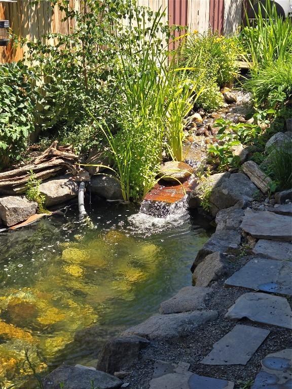 1906 Thomas Ave, Butte, MT 59701 - exterior view of a garden pond
