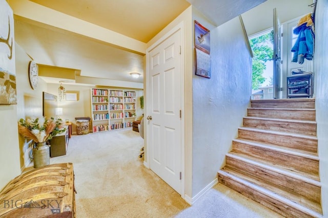 215 N 4th St Unit B, Manhattan, MT 59741 - staircase with carpet