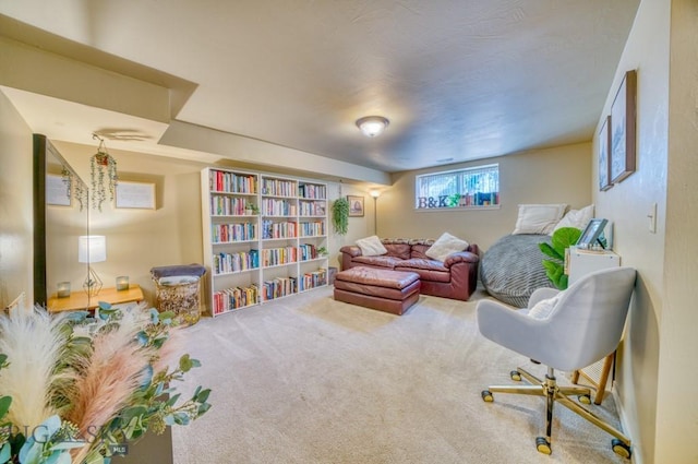 215 N 4th St Unit B, Manhattan, MT 59741 - living area featuring carpet
