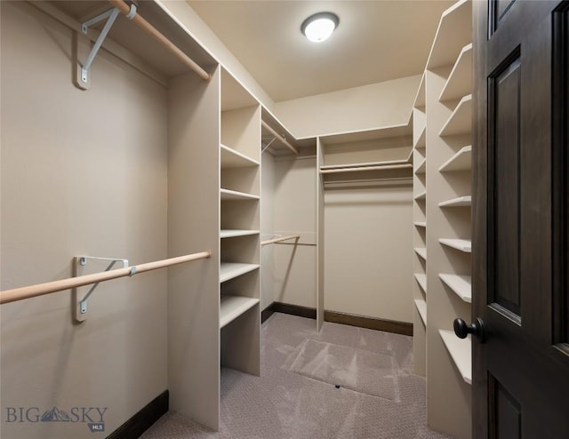 5479 Annie St, Bozeman, MT 59718 - spacious closet featuring light colored carpet