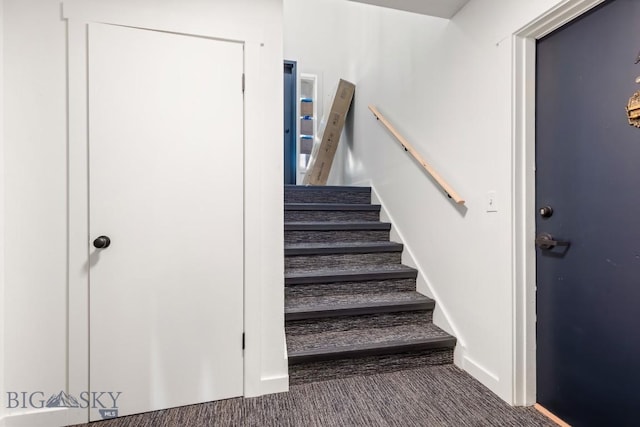 1714 S 19th Ave, Bozeman, MT 59718 - staircase featuring carpet