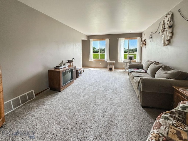 45 Chestnut Grove Ave, Bozeman, MT 59718 - carpeted living area featuring baseboards