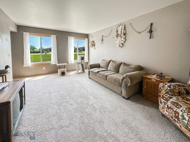 45 Chestnut Grove Ave, Bozeman, MT 59718 - view of carpeted living area