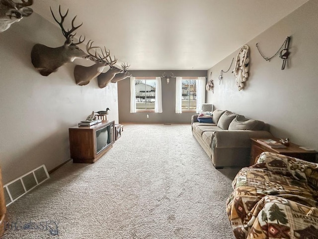 45 Chestnut Grove Ave, Bozeman, MT 59718 - living area with carpet flooring