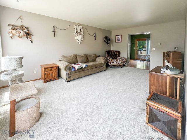 45 Chestnut Grove Ave, Bozeman, MT 59718 - living area with carpet flooring