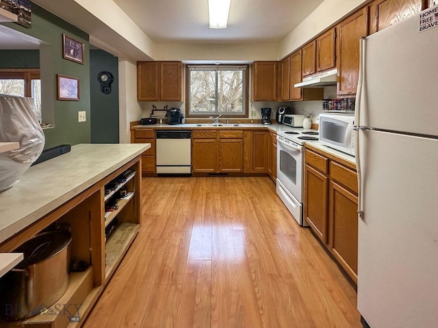 45 Chestnut Grove Ave, Bozeman, MT 59718 - kitchen featuring white appliances, under cabinet range hood, brown cabinets, and light wood finished floors