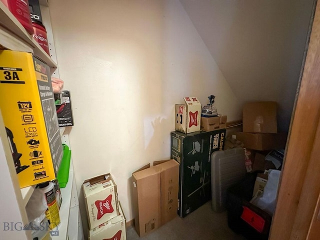 45 Chestnut Grove Ave, Bozeman, MT 59718 - view of storage room