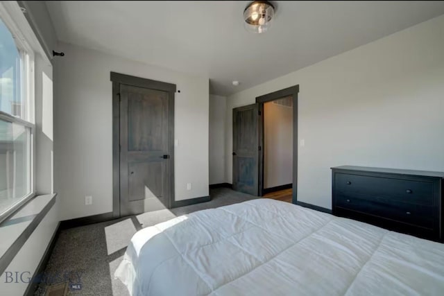 421 Otis Ave, Ennis, MT 59729 - bedroom with carpet floors
