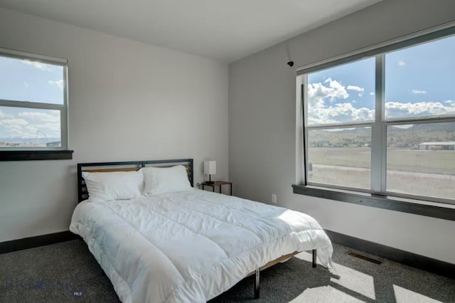 421 Otis Ave, Ennis, MT 59729 - bedroom featuring carpet and baseboards
