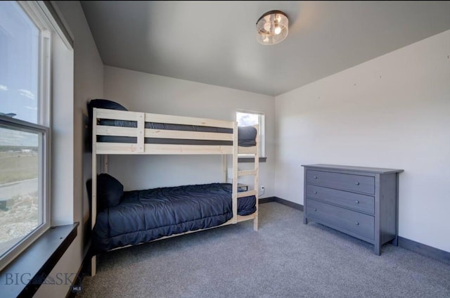 421 Otis Ave, Ennis, MT 59729 - bedroom with carpet and baseboards