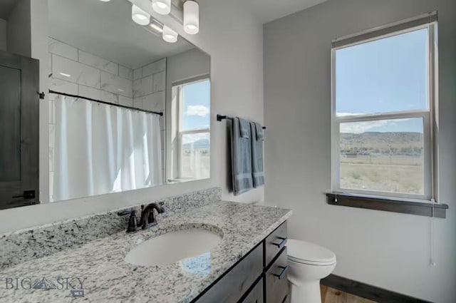 421 Otis Ave, Ennis, MT 59729 - bathroom featuring vanity, curtained shower, and wood finished floors
