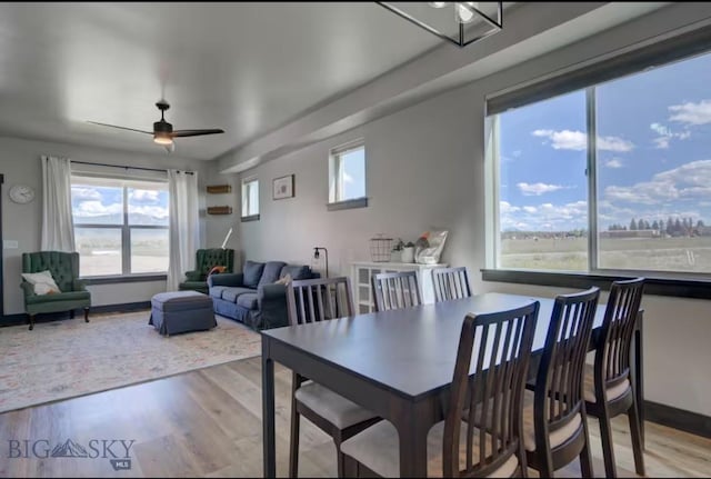 421 Otis Ave, Ennis, MT 59729 - dining space featuring wood finished floors, healthy amount of natural light, and a ceiling fan
