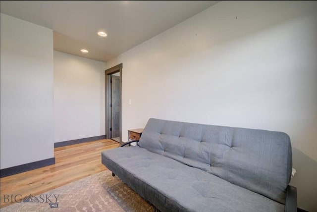 421 Otis Ave, Ennis, MT 59729 - living area featuring light wood finished floors and recessed lighting