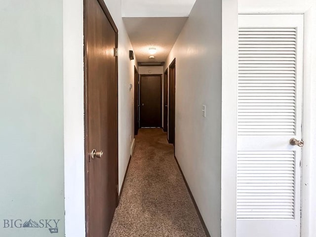 1716 S Rouse, Bozeman, MT 59715 - hallway with light carpet and baseboards