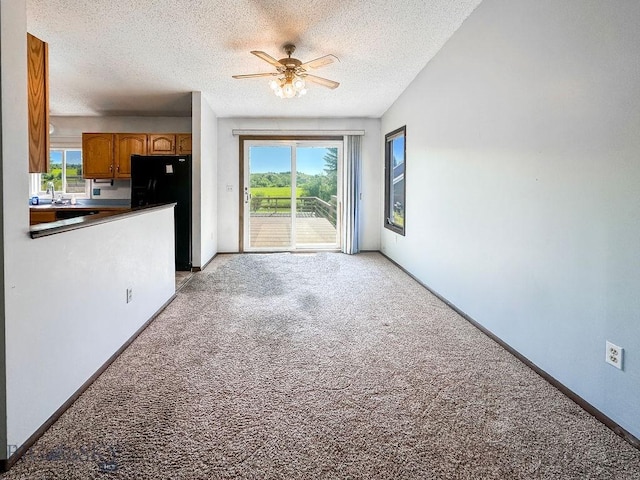 1716 S Rouse, Bozeman, MT 59715 - unfurnished living room with light carpet, a textured ceiling, and healthy amount of natural light