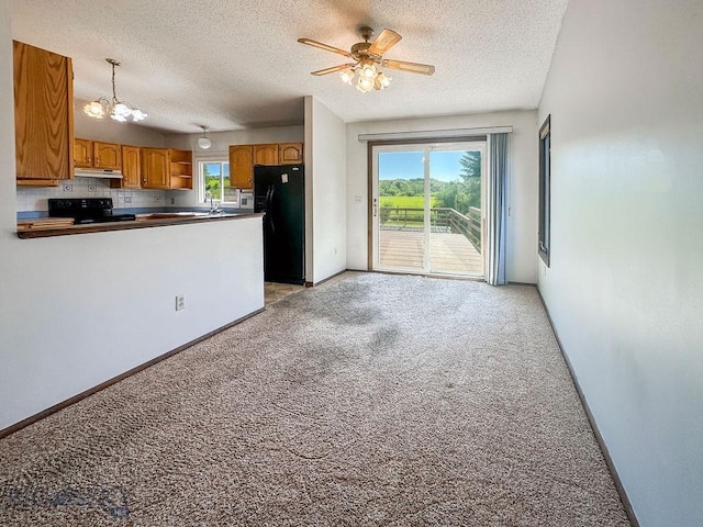 1716 S Rouse, Bozeman, MT 59715 - kitchen with black appliances, under cabinet range hood, light carpet, and a textured ceiling