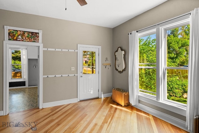 606 S Washington St, Dillon, MT 59725 - foyer entrance featuring radiator, healthy amount of natural light, light wood-style floors, and ceiling fan